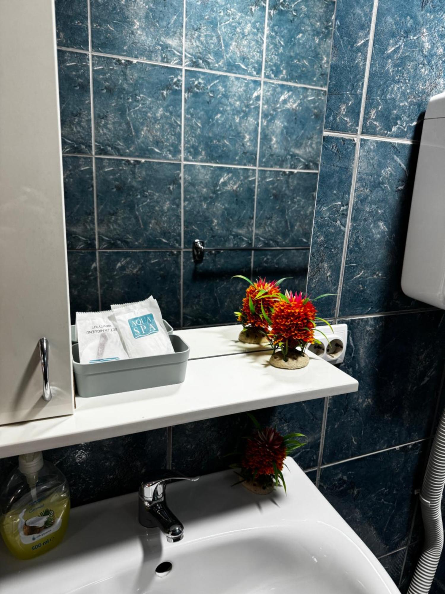 Apartments Vila Brzi & Beka Šabac Екстериор снимка